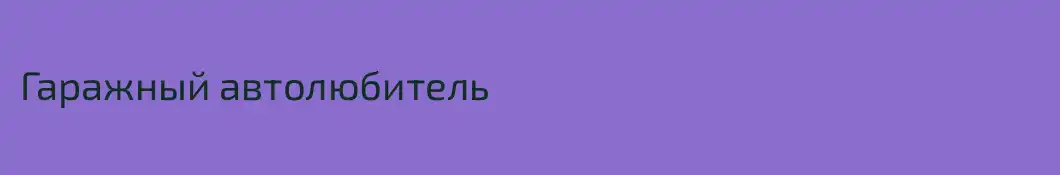 Гаражный автолюбитель